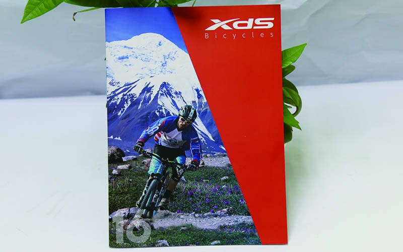 自行車畫冊印刷,喜德盛自行車印刷,畫冊印刷 自行車畫冊印刷,喜德盛自行車印刷,畫冊印刷