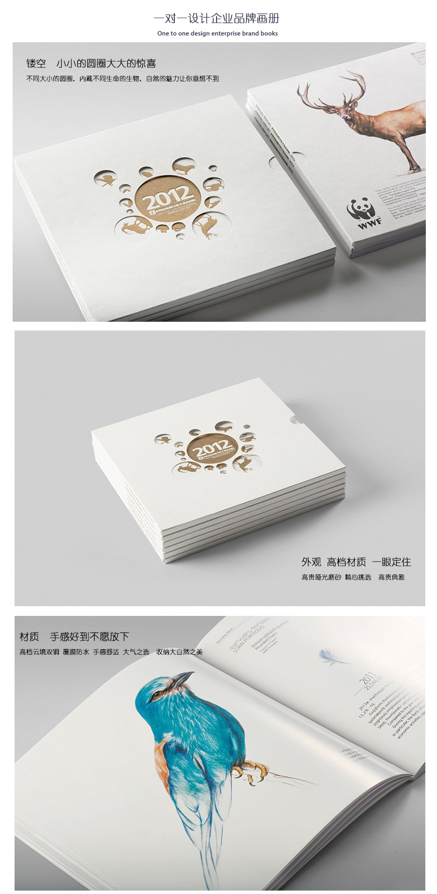 精美生物畫冊、精裝畫冊